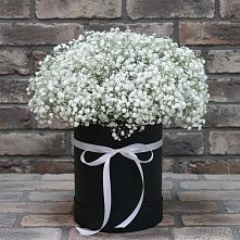 Цветочная композиция из Гипсофила в шляпной коробке в Раздольном Приморского края